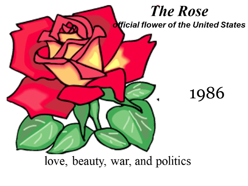 The Rose official flower of the United States 1986 love, beauty, war, and politics